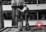 Image of George Boarman Washington DC USA, 1938, second 12 stock footage video 65675047785