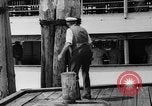 Image of George Boarman Washington DC USA, 1938, second 13 stock footage video 65675047785