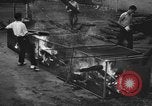 Image of pit of fire New York United States USA, 1938, second 7 stock footage video 65675047789