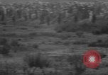 Image of United States airplanes San Diego California USA, 1938, second 59 stock footage video 65675047797