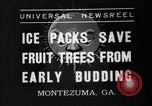 Image of dry fruit tress Montezuma Georgia USA, 1937, second 9 stock footage video 65675047803