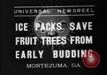 Image of dry fruit tress Montezuma Georgia USA, 1937, second 12 stock footage video 65675047803