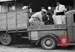 Image of dry fruit tress Montezuma Georgia USA, 1937, second 15 stock footage video 65675047803