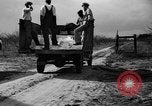 Image of dry fruit tress Montezuma Georgia USA, 1937, second 22 stock footage video 65675047803
