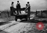 Image of dry fruit tress Montezuma Georgia USA, 1937, second 23 stock footage video 65675047803