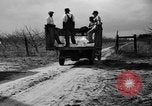 Image of dry fruit tress Montezuma Georgia USA, 1937, second 24 stock footage video 65675047803