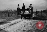 Image of dry fruit tress Montezuma Georgia USA, 1937, second 25 stock footage video 65675047803