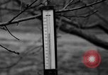 Image of dry fruit tress Montezuma Georgia USA, 1937, second 30 stock footage video 65675047803