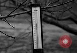 Image of dry fruit tress Montezuma Georgia USA, 1937, second 31 stock footage video 65675047803