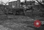 Image of dry fruit tress Montezuma Georgia USA, 1937, second 47 stock footage video 65675047803