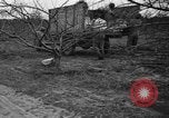 Image of dry fruit tress Montezuma Georgia USA, 1937, second 49 stock footage video 65675047803