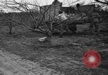Image of dry fruit tress Montezuma Georgia USA, 1937, second 50 stock footage video 65675047803