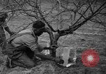Image of dry fruit tress Montezuma Georgia USA, 1937, second 51 stock footage video 65675047803