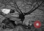 Image of dry fruit tress Montezuma Georgia USA, 1937, second 53 stock footage video 65675047803