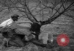 Image of dry fruit tress Montezuma Georgia USA, 1937, second 54 stock footage video 65675047803
