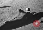 Image of horse race Elmont New York USA, 1936, second 33 stock footage video 65675047804