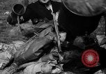 Image of policemen destroy illegal drugs Chicago Illinois USA, 1936, second 25 stock footage video 65675047806