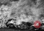 Image of policemen destroy illegal drugs Chicago Illinois USA, 1936, second 40 stock footage video 65675047806