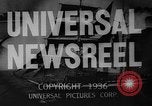 Immagine di Prove contro Giovanni Fiorenza in omicidio di Nancy Evans Titterton New York United States USA, 1936, secondo 18 filmato di repertorio 65675047814