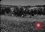 Image of Mount Rainer National Park Washington State United States USA, 1935, second 11 stock footage video 65675047822