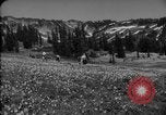 Image of Mount Rainer National Park Washington State United States USA, 1935, second 12 stock footage video 65675047822