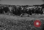 Image of Mount Rainer National Park Washington State United States USA, 1935, second 13 stock footage video 65675047822