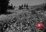 Image of Mount Rainer National Park Washington State United States USA, 1935, second 19 stock footage video 65675047822