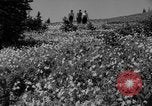 Image of Mount Rainer National Park Washington State United States USA, 1935, second 21 stock footage video 65675047822