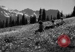 Image of Mount Rainer National Park Washington State United States USA, 1935, second 29 stock footage video 65675047822