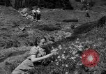 Image of Mount Rainer National Park Washington State United States USA, 1935, second 38 stock footage video 65675047822