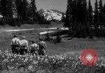 Image of Mount Rainer National Park Washington State United States USA, 1935, second 39 stock footage video 65675047822