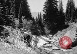 Image of Mount Rainer National Park Washington State United States USA, 1935, second 43 stock footage video 65675047822