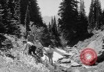 Image of Mount Rainer National Park Washington State United States USA, 1935, second 44 stock footage video 65675047822