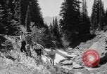 Image of Mount Rainer National Park Washington State United States USA, 1935, second 46 stock footage video 65675047822