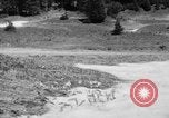Image of Mount Rainer National Park Washington State United States USA, 1935, second 47 stock footage video 65675047822