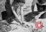 Image of Mount Rainer National Park Washington State United States USA, 1935, second 53 stock footage video 65675047822