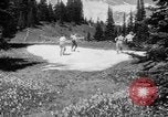 Image of Mount Rainer National Park Washington State United States USA, 1935, second 60 stock footage video 65675047822