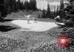 Image of Mount Rainer National Park Washington State United States USA, 1935, second 61 stock footage video 65675047822