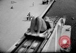Immagine di Sport acquatici Parigi Francia, 1938, secondo 11 filmato di repertorio 65675047827