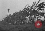 Immagine di Uragano provoca danni Cienfuegos Cuba, 1952, secondo 20 filmato di repertorio 65675047830