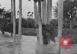 Immagine di Uragano provoca danni Cienfuegos Cuba, 1952, secondo 32 filmato di repertorio 65675047830