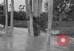 Immagine di Uragano provoca danni Cienfuegos Cuba, 1952, secondo 33 filmato di repertorio 65675047830