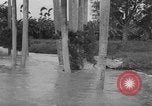 Immagine di Uragano provoca danni Cienfuegos Cuba, 1952, secondo 34 filmato di repertorio 65675047830