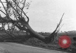 Immagine di Uragano provoca danni Cienfuegos Cuba, 1952, secondo 48 filmato di repertorio 65675047830