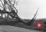 Immagine di Uragano provoca danni Cienfuegos Cuba, 1952, secondo 49 filmato di repertorio 65675047830