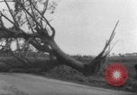 Immagine di Uragano provoca danni Cienfuegos Cuba, 1952, secondo 50 filmato di repertorio 65675047830