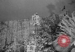 Immagine di Testate floreali California United States USA, 1952, secondo 16 filmato di repertorio 65675047833