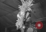 Immagine di Testate floreali California United States USA, 1952, secondo 28 filmato di repertorio 65675047833