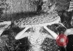 Immagine di Testate floreali California United States USA, 1952, secondo 41 filmato di repertorio 65675047833