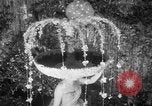 Immagine di Testate floreali California United States USA, 1952, secondo 62 filmato di repertorio 65675047833